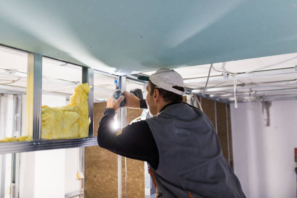 Types of Insulation We Offer in Elmer, NJ